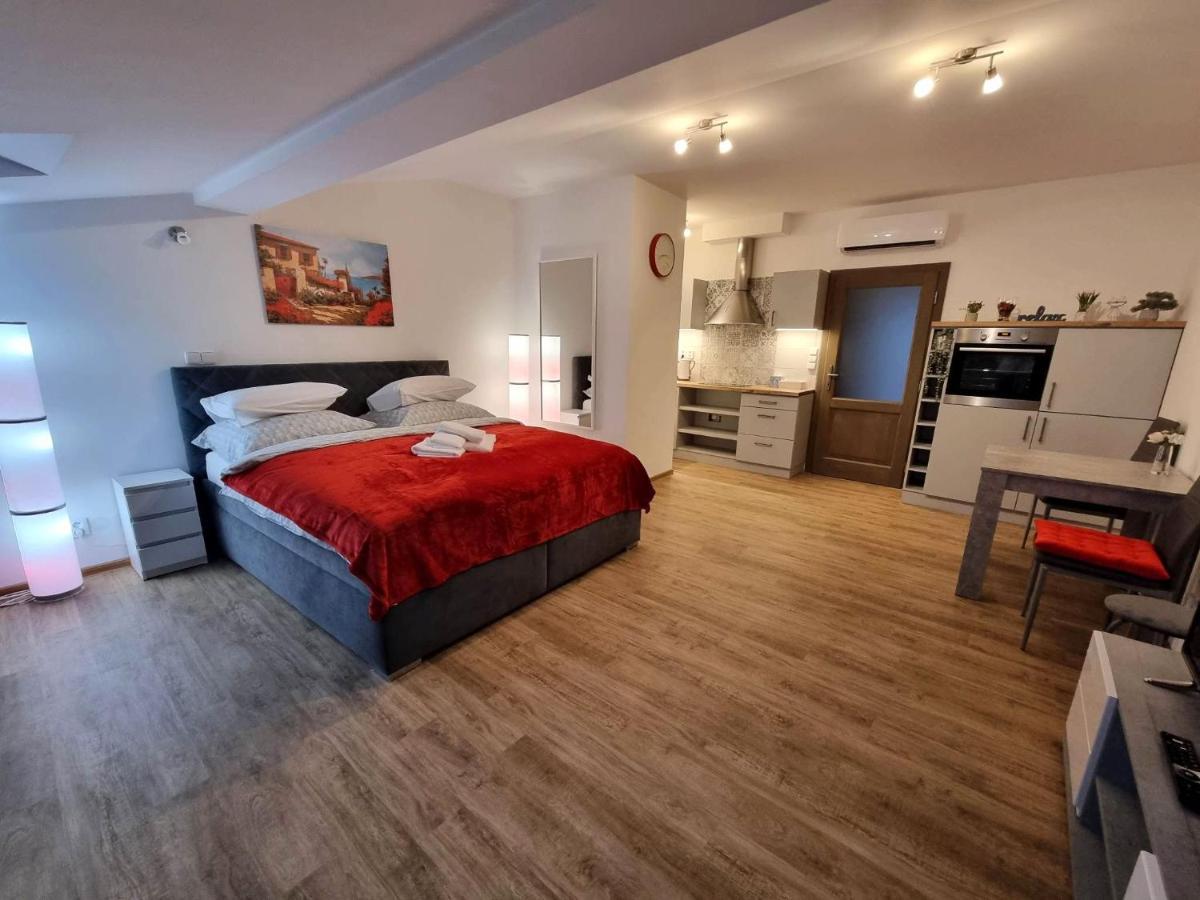 Podkrovni Studio Na Velkem Namesti S Wi-Fi Zdarma Χράντεκ Κράλοβε Εξωτερικό φωτογραφία